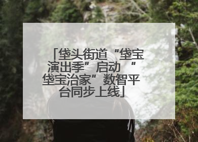垡头街道“垡宝演出季”启动 “垡宝治家”数智平台同步上线