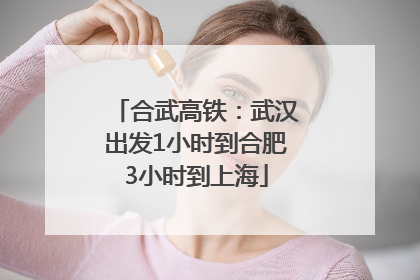 合武高铁：武汉出发1小时到合肥3小时到上海