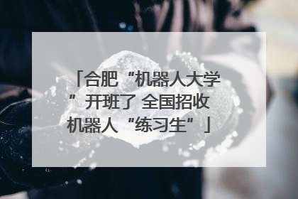 合肥“机器人大学”开班了 全国招收机器人“练习生”