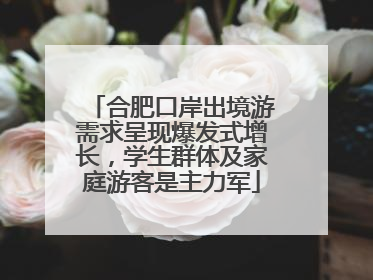 合肥口岸出境游需求呈现爆发式增长，学生群体及家庭游客是主力军