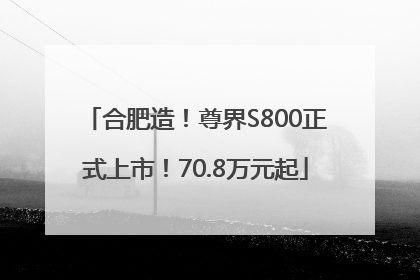 合肥造！尊界S800正式上市！70.8万元起
