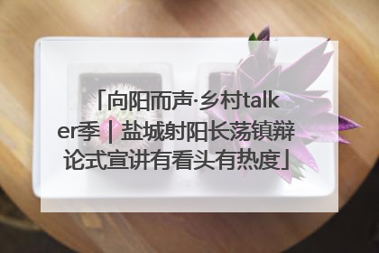 向阳而声·乡村talker季｜盐城射阳长荡镇辩论式宣讲有看头有热度