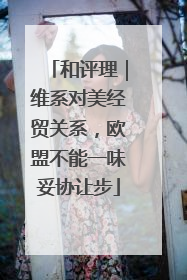 和评理｜维系对美经贸关系，欧盟不能一味妥协让步