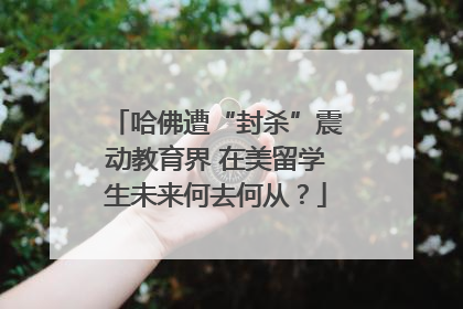 哈佛遭“封杀”震动教育界 在美留学生未来何去何从？