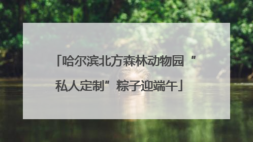 哈尔滨北方森林动物园“私人定制”粽子迎端午