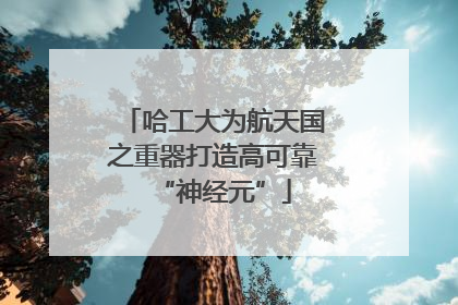哈工大为航天国之重器打造高可靠“神经元”