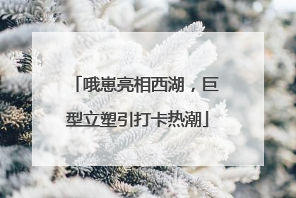 哦崽亮相西湖，巨型立塑引打卡热潮