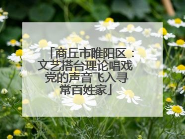 商丘市睢阳区：文艺搭台理论唱戏 党的声音飞入寻常百姓家