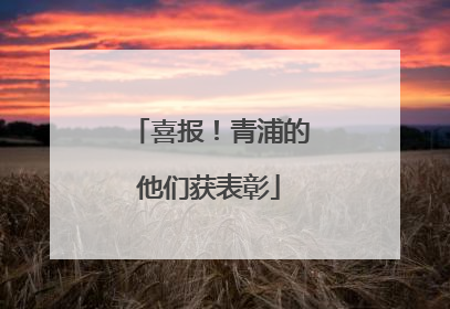 喜报！青浦的他们获表彰