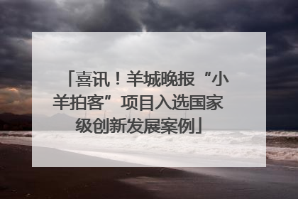 喜讯！羊城晚报“小羊拍客”项目入选国家级创新发展案例