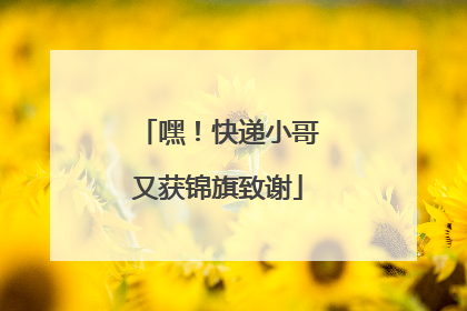 嘿！快递小哥又获锦旗致谢