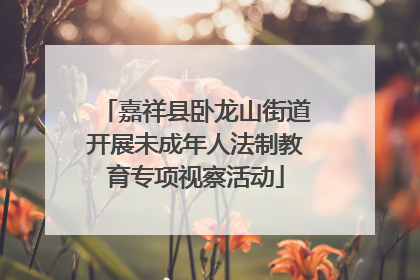 嘉祥县卧龙山街道开展未成年人法制教育专项视察活动