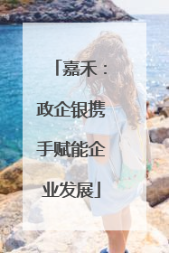 嘉禾：政企银携手赋能企业发展