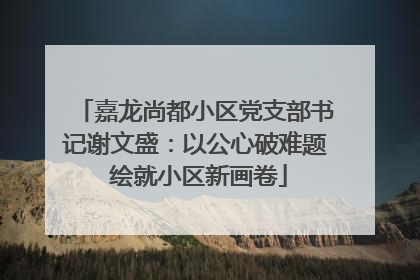 嘉龙尚都小区党支部书记谢文盛：以公心破难题 绘就小区新画卷