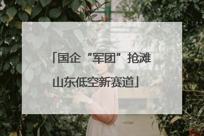 国企“军团”抢滩山东低空新赛道