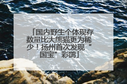 国内野生个体现存数量比大熊猫更为稀少！扬州首次发现“国宝”彩鹮