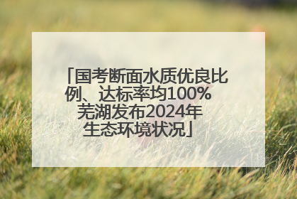 国考断面水质优良比例、达标率均100% 芜湖发布2024年生态环境状况