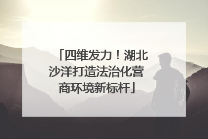 四维发力！湖北沙洋打造法治化营商环境新标杆
