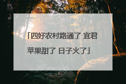 四好农村路通了 宜君苹果甜了 日子火了