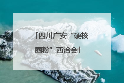 四川广安“硬核圈粉”西洽会