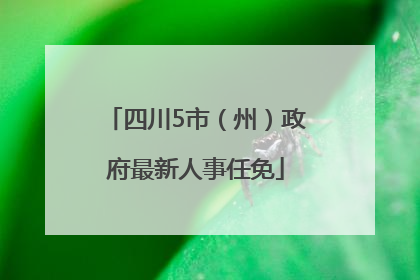 四川5市（州）政府最新人事任免
