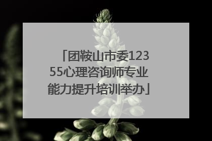 团鞍山市委12355心理咨询师专业能力提升培训举办