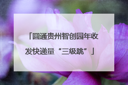 圆通贵州智创园年收发快递量“三级跳”