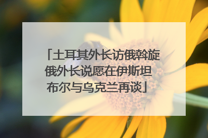 土耳其外长访俄斡旋 俄外长说愿在伊斯坦布尔与乌克兰再谈
