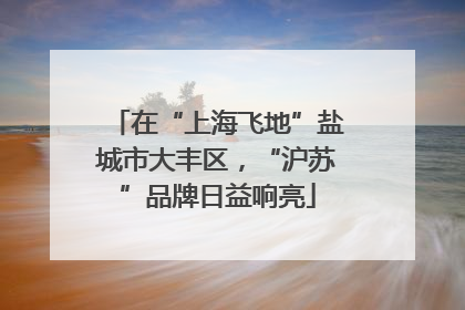 在“上海飞地”盐城市大丰区，“沪苏”品牌日益响亮