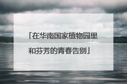 在华南国家植物园里和芬芳的青春告别