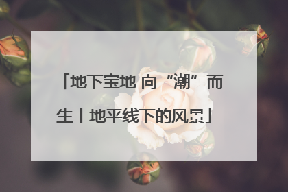 地下宝地 向“潮”而生丨地平线下的风景