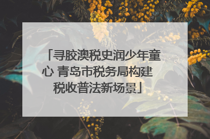 寻胶澳税史润少年童心 青岛市税务局构建税收普法新场景