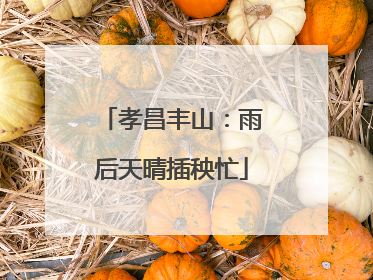 孝昌丰山：雨后天晴插秧忙