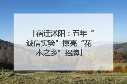 宿迁沭阳：五年“诚信实验”擦亮“花木之乡”招牌