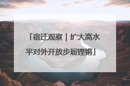 宿迁观察｜扩大高水平对外开放步履铿锵