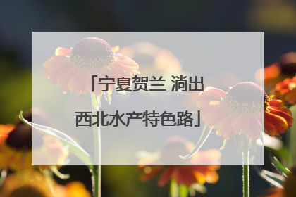 宁夏贺兰 淌出西北水产特色路