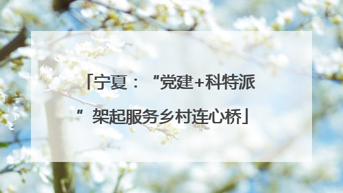 宁夏：“党建+科特派”架起服务乡村连心桥