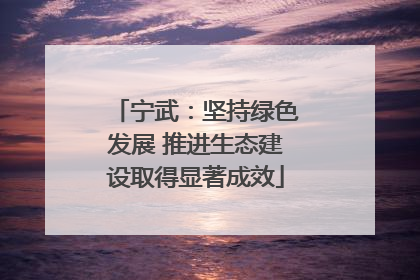 宁武：坚持绿色发展 推进生态建设取得显著成效