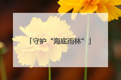 守护“海底雨林”