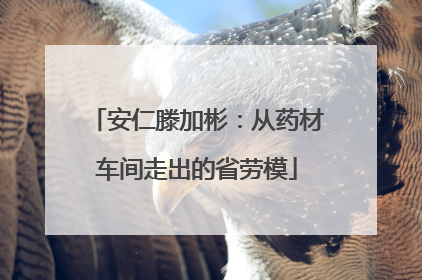 安仁滕加彬：从药材车间走出的省劳模