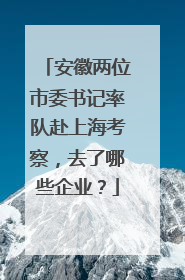 安徽两位市委书记率队赴上海考察，去了哪些企业？