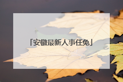 安徽最新人事任免