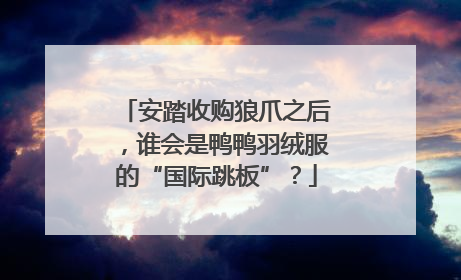 安踏收购狼爪之后，谁会是鸭鸭羽绒服的“国际跳板”？