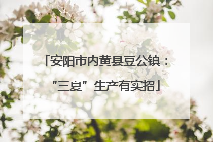 安阳市内黄县豆公镇：“三夏”生产有实招