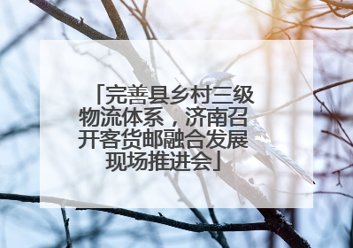 完善县乡村三级物流体系，济南召开客货邮融合发展现场推进会