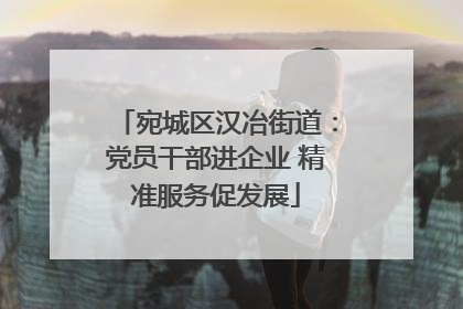 宛城区汉冶街道：党员干部进企业 精准服务促发展