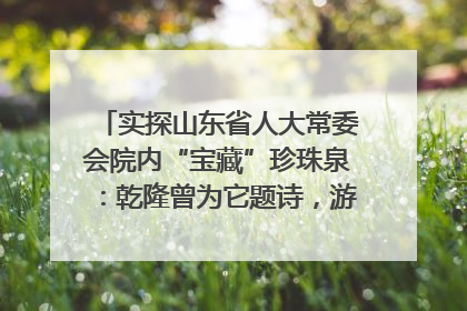 实探山东省人大常委会院内“宝藏”珍珠泉：乾隆曾为它题诗，游客无需预约免费游览