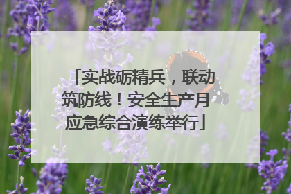 实战砺精兵，联动筑防线！安全生产月应急综合演练举行