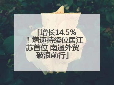 增长14.5%！增速持续位居江苏首位 南通外贸破浪前行