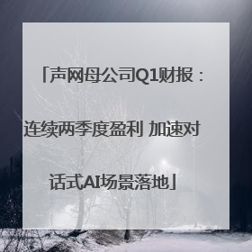 声网母公司Q1财报：连续两季度盈利 加速对话式AI场景落地